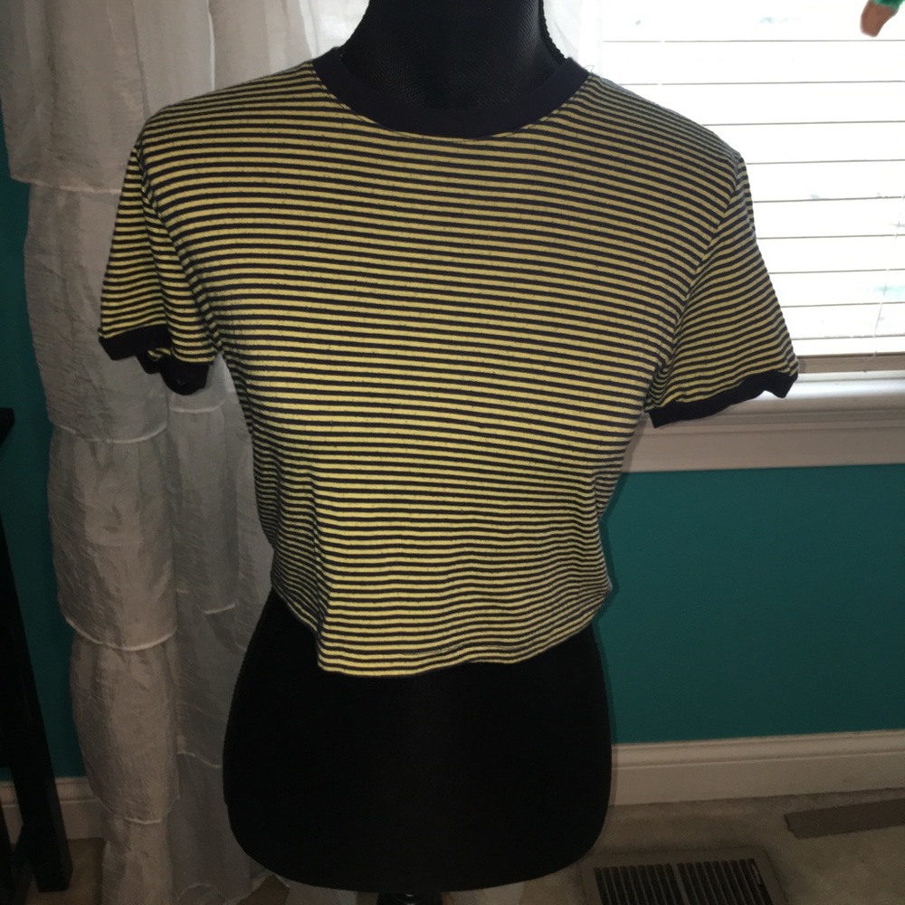Brandy Melville Striped Crop Top